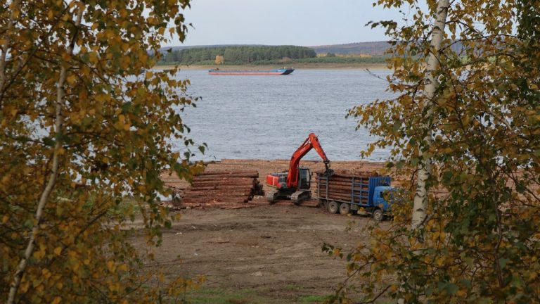 a crane is working on a pile of logs